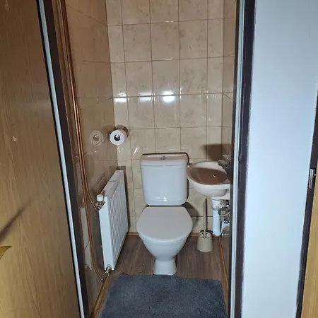 Apartman Albrecht Albrechtice v Jizerskych horach Exterior photo