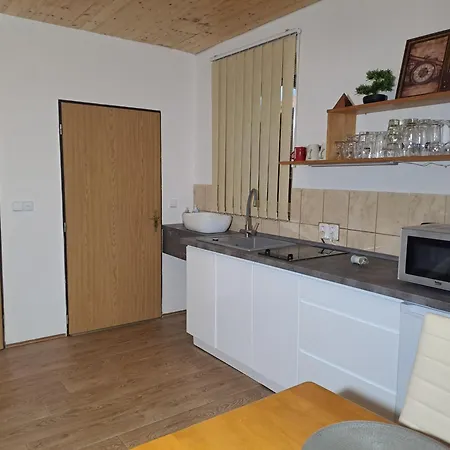 Apartman Albrecht Albrechtice v Jizerskych horach Exterior photo